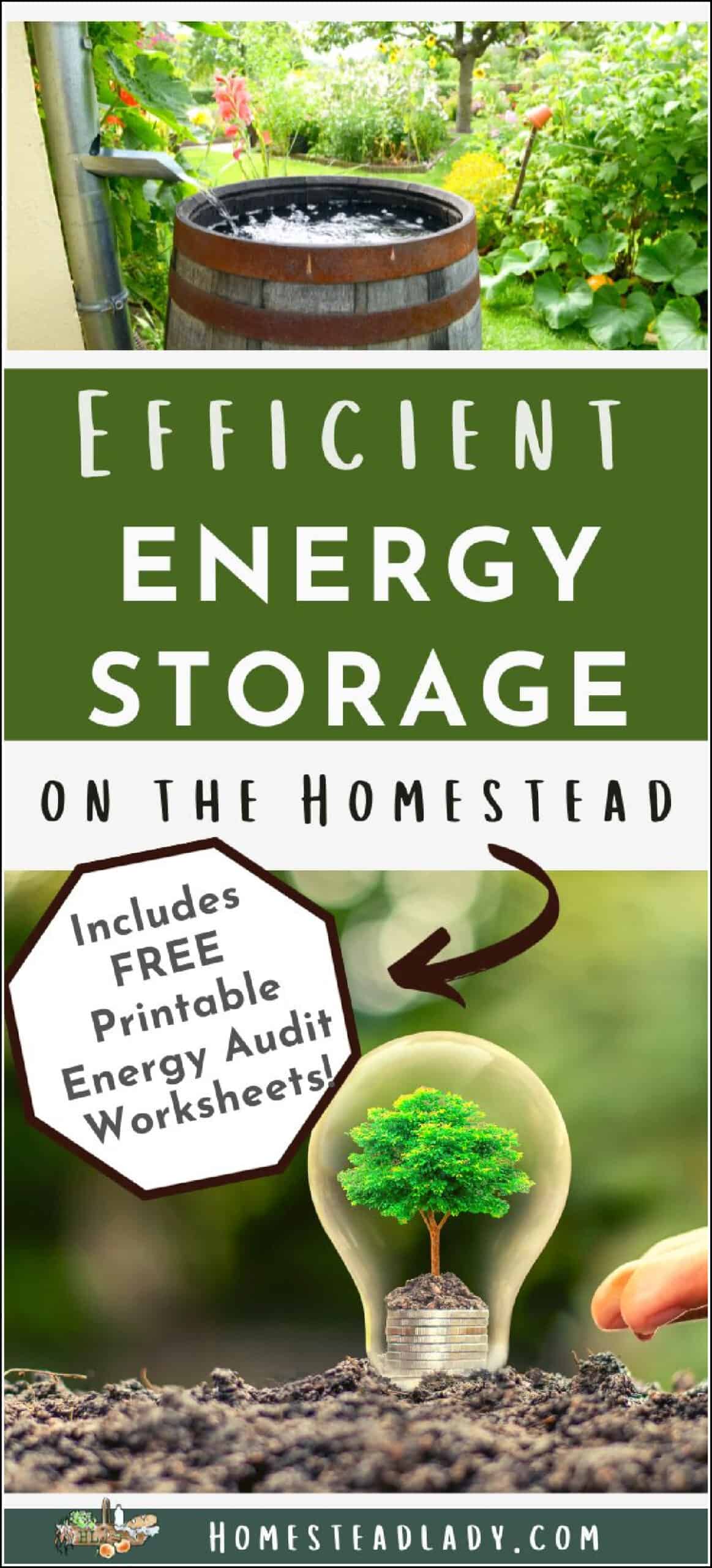 a tree inside a light bulb, decorative graphic, rainwater barrel