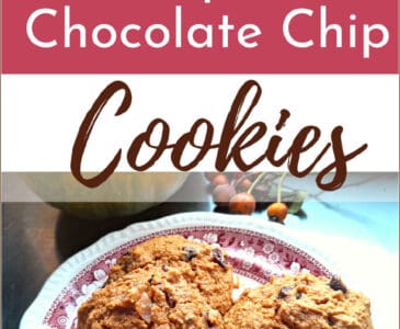 pumpkin chocolate chip oatmeal cookies on a plate