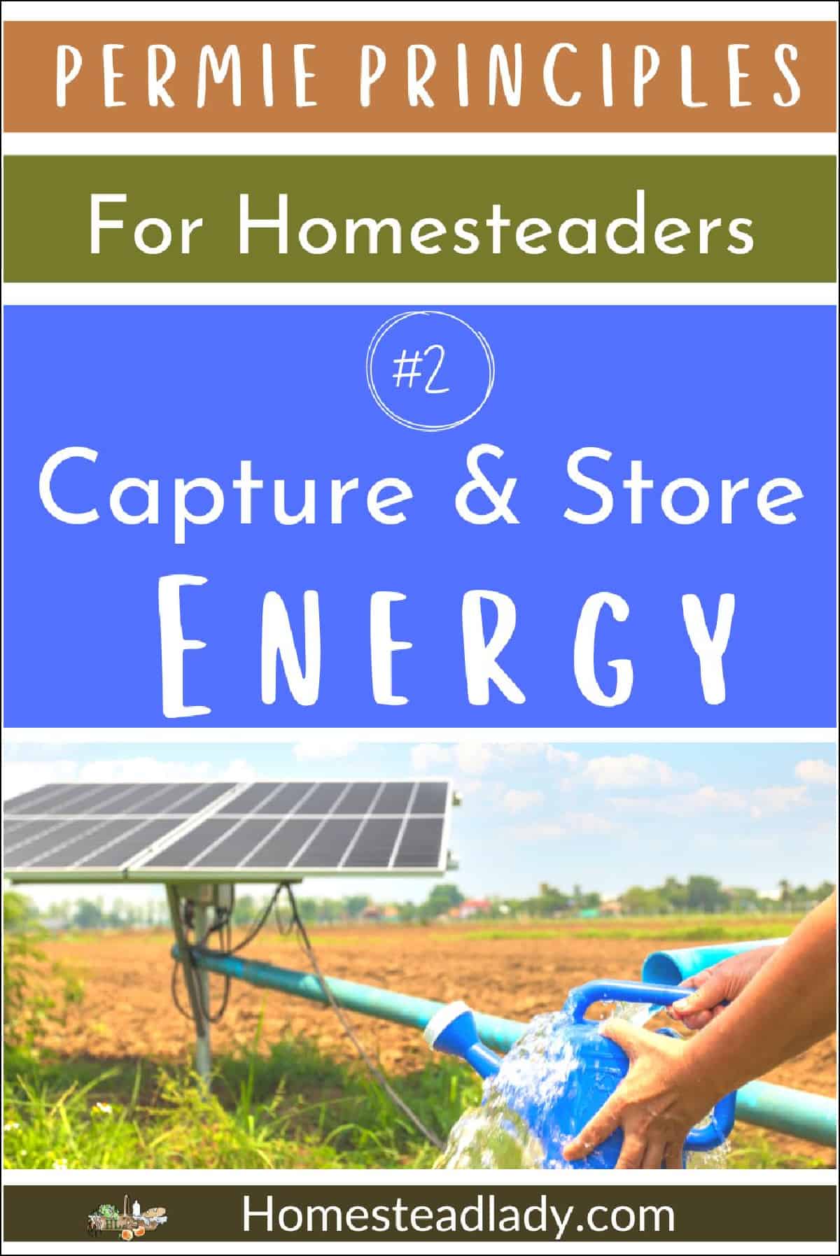 solar panels, watering can, water hose, field on the homestead