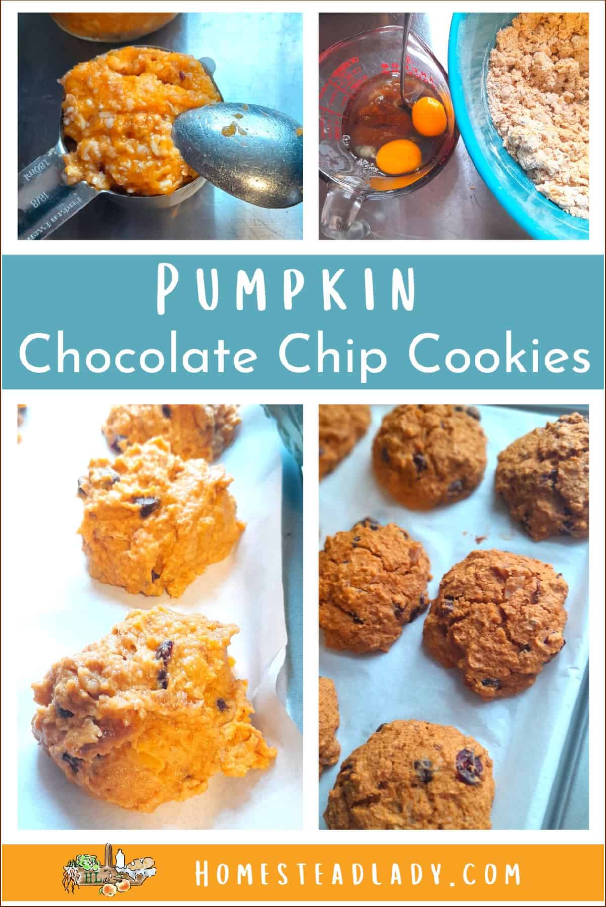 chocolate chip pumpkin oatmeal cookie dough, finished cookies