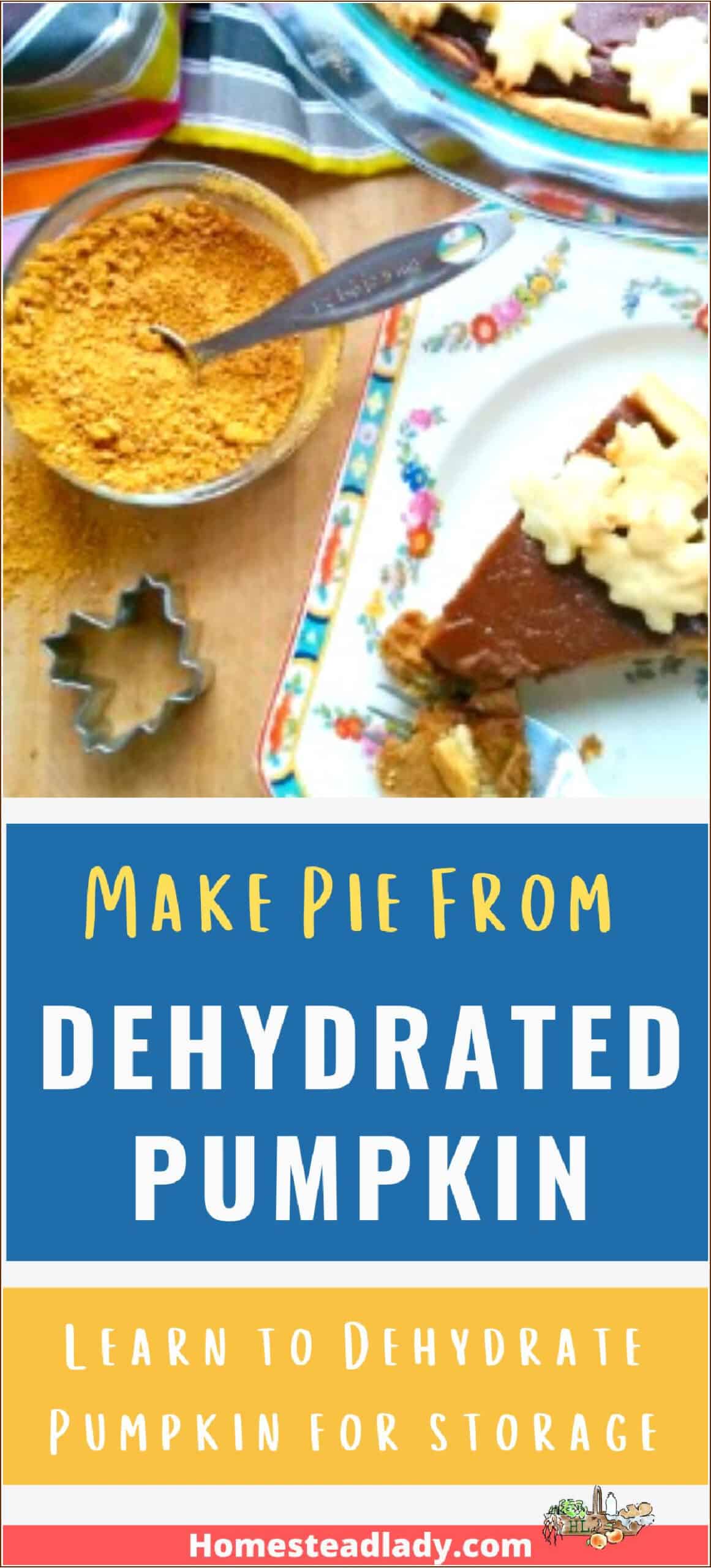 dehydrated pumpkin in a dish, pumpkin pie