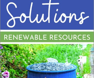renewable water collection, rainwater barrel in a garden