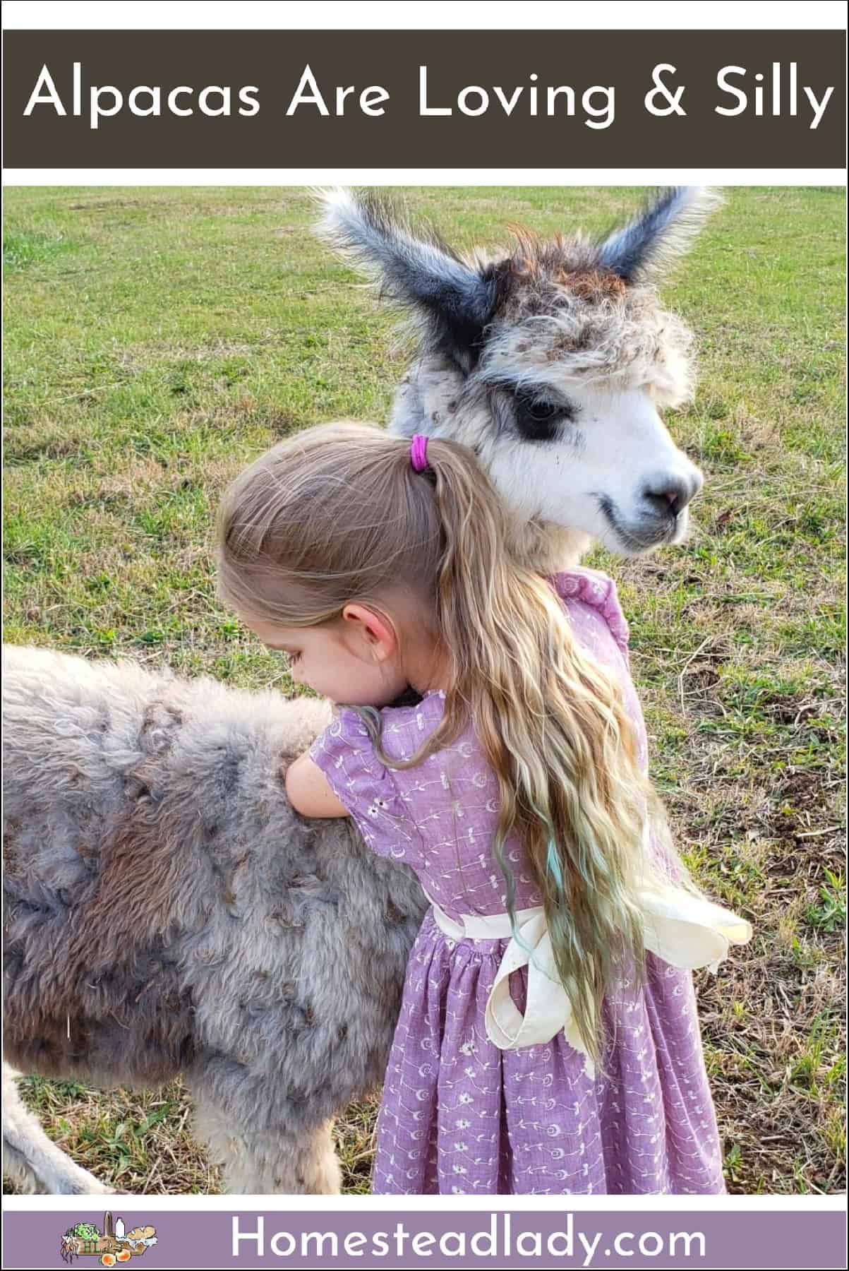 girl hugging alpaca on the homestead
