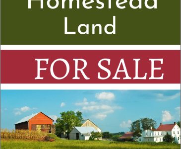 homestead land and barn for sale