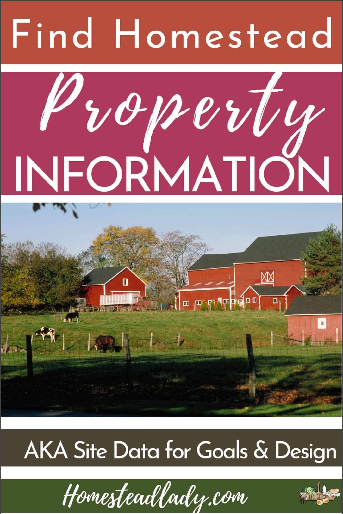 homestead barn and home