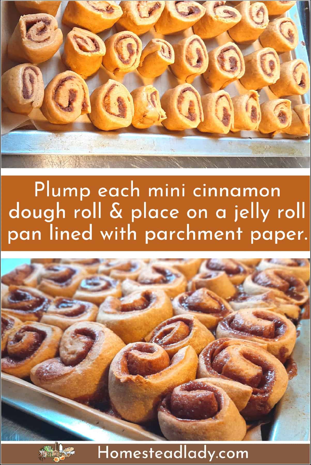 mini sourdough cinnamon rolls on a tray to bake