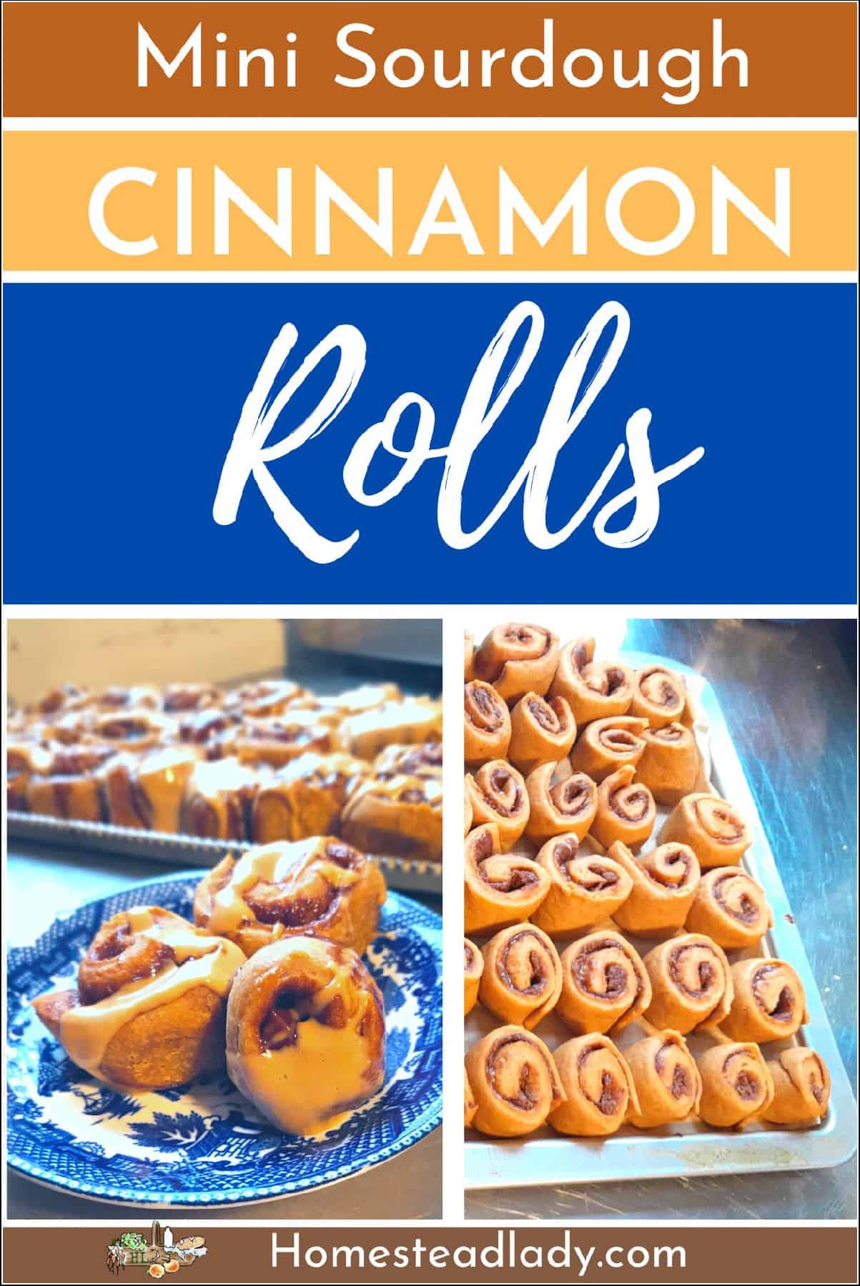mini sourdough cinnamon rolls on a tray and on a plate