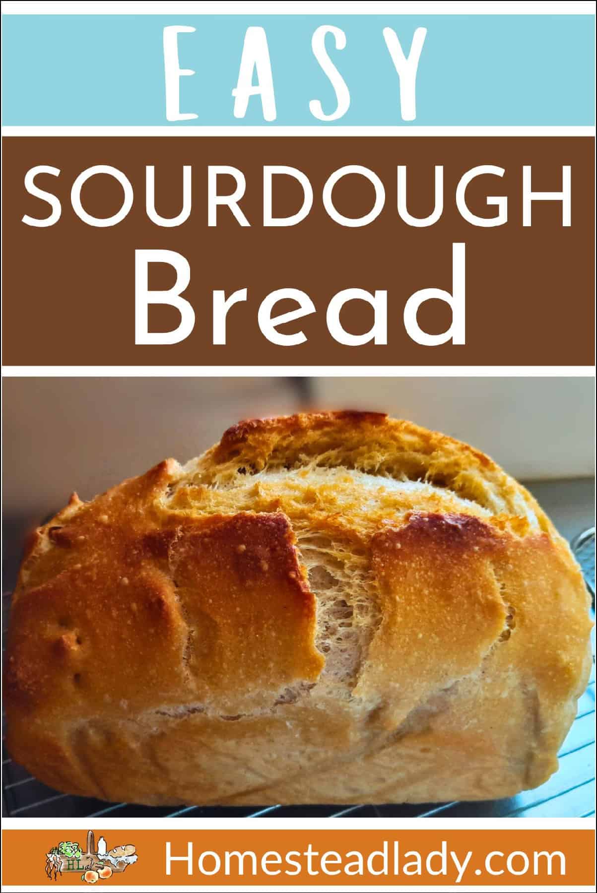sourdough bread loaf on baking rack