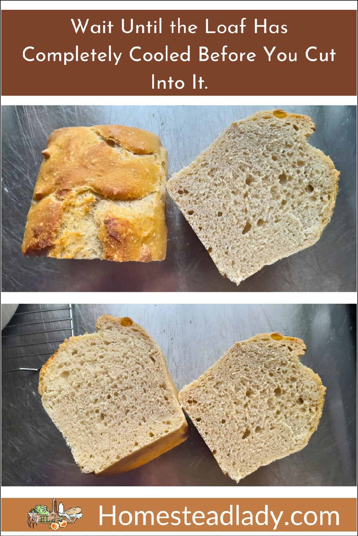 sourdough bread loaf cut in half