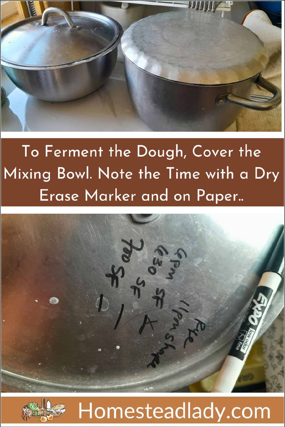 sourdough bread dough covered in a bowl