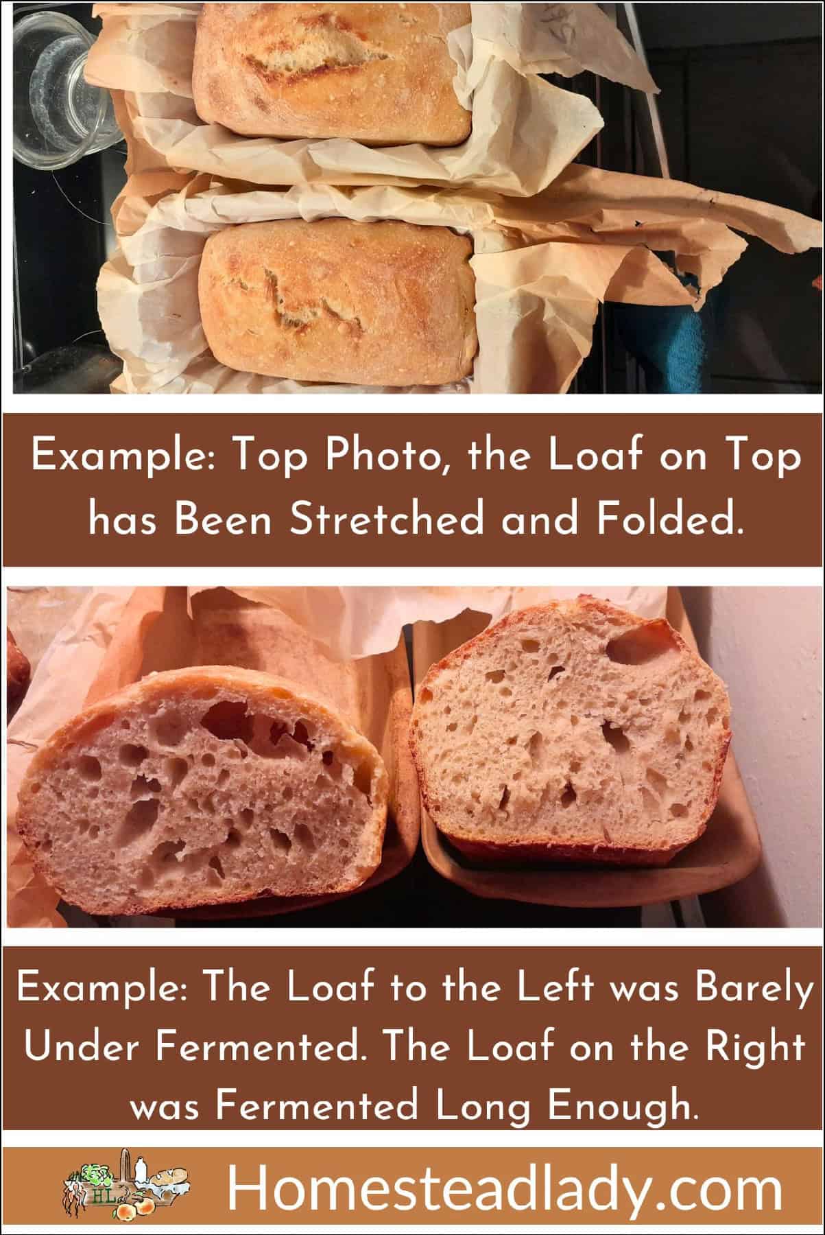 sourdough bread loaves different types