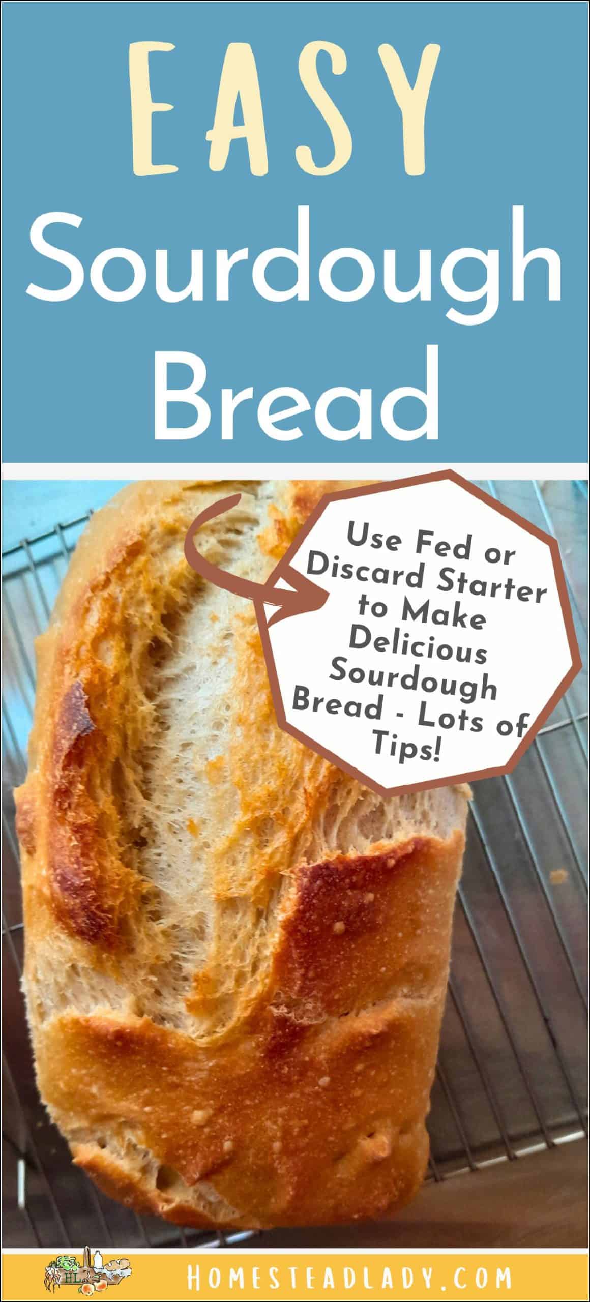 sourdough bread loaf