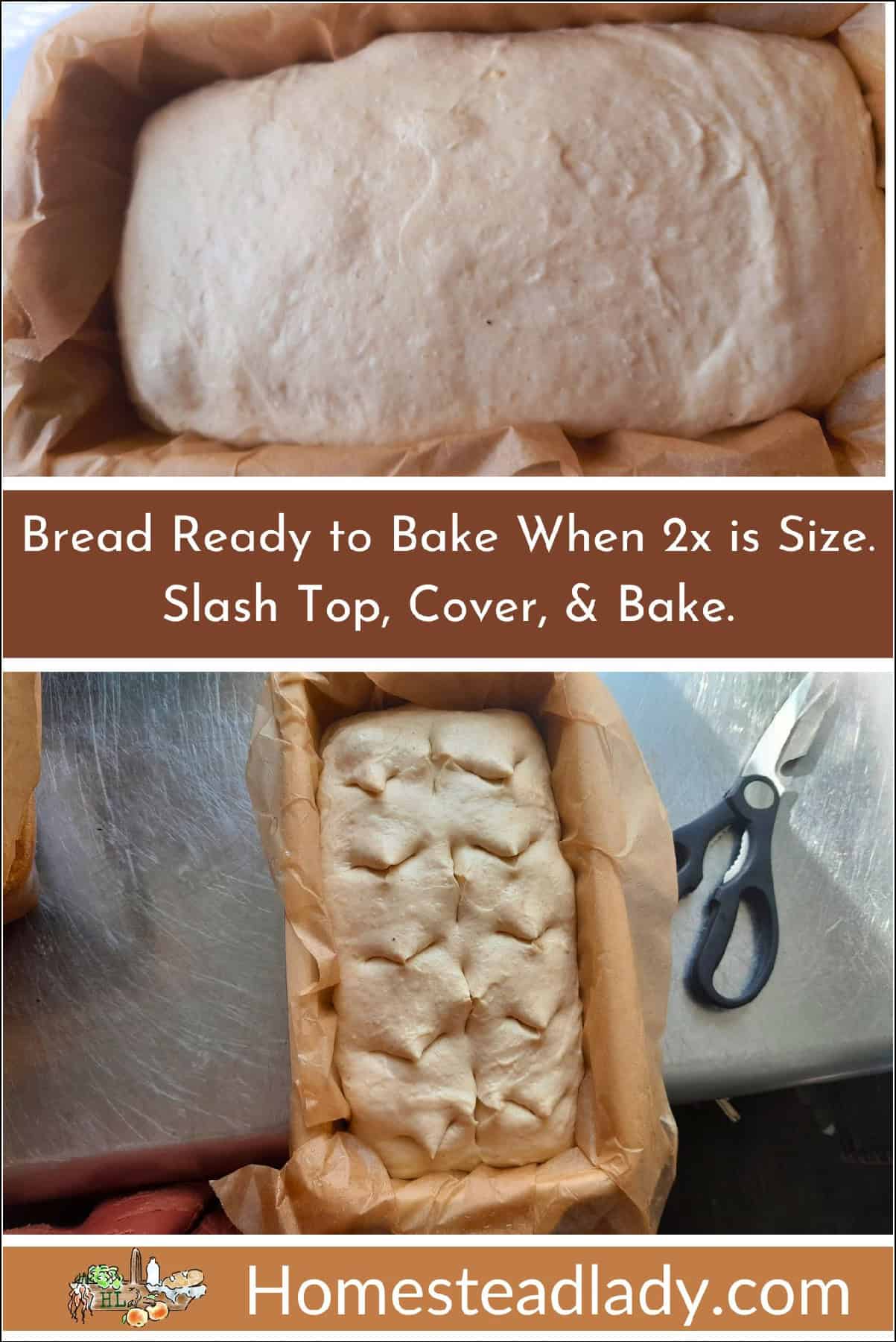sourdough bread dough in a pan; sourdough bread dough with cuts on top