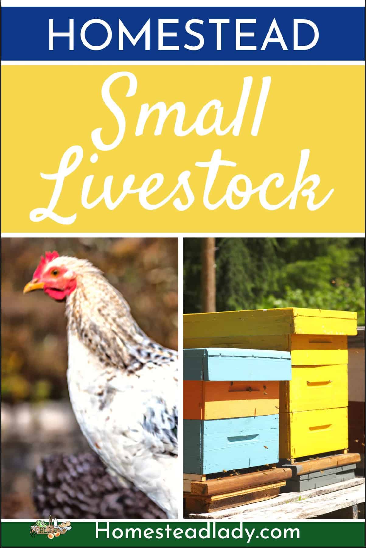 small livestock chickens and bees