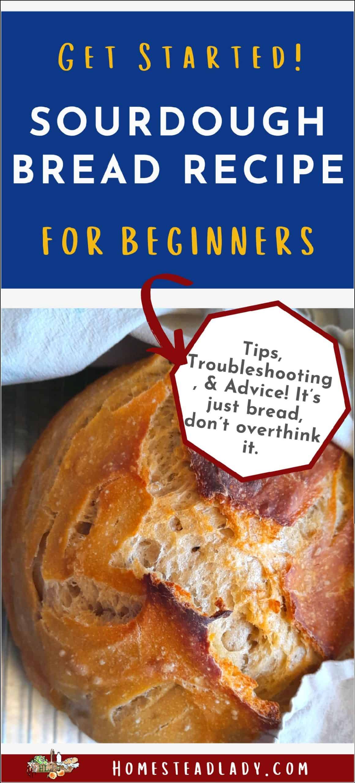 sourdough bread on a cooling rack with a tea towel