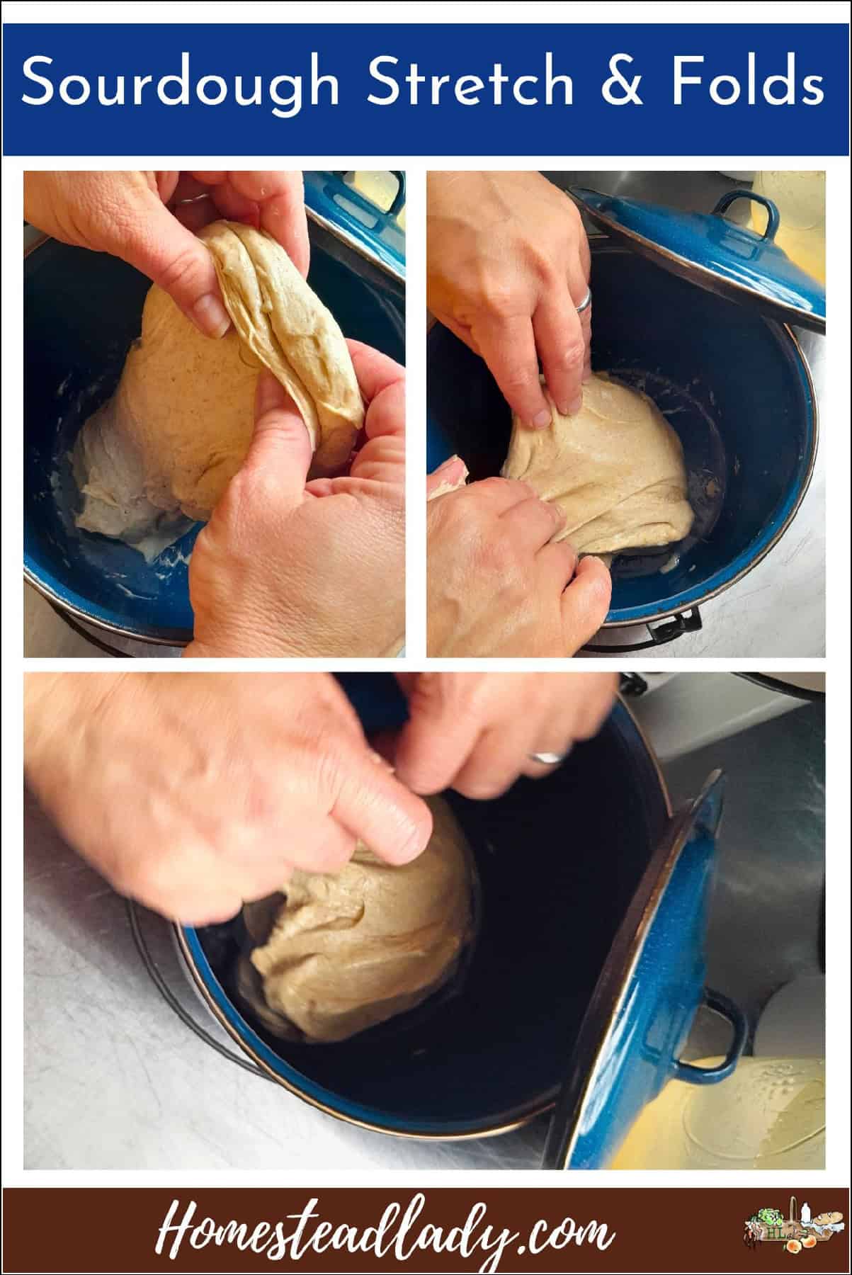 sourdough bread dough being stretched and folded in blue pot
