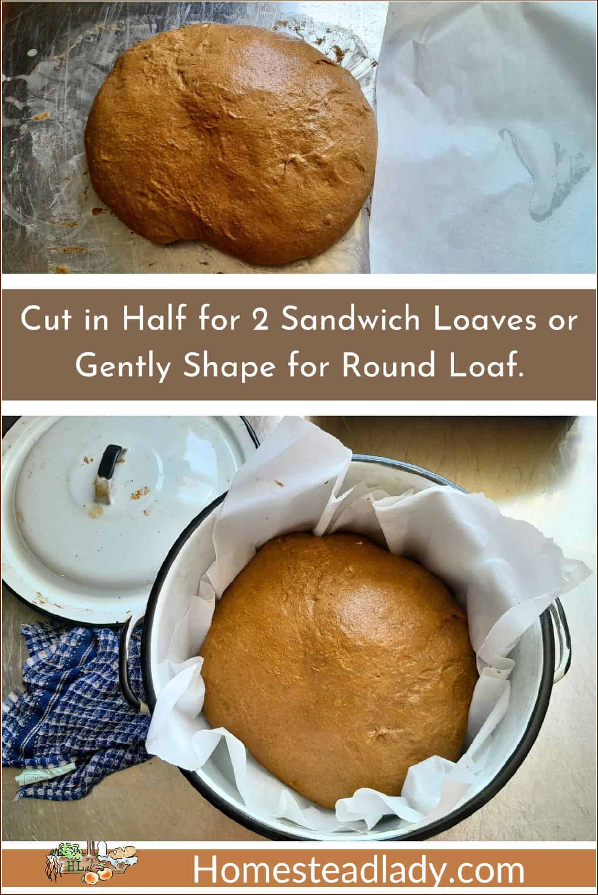 sourdough marble rye bread dough shaped to bake