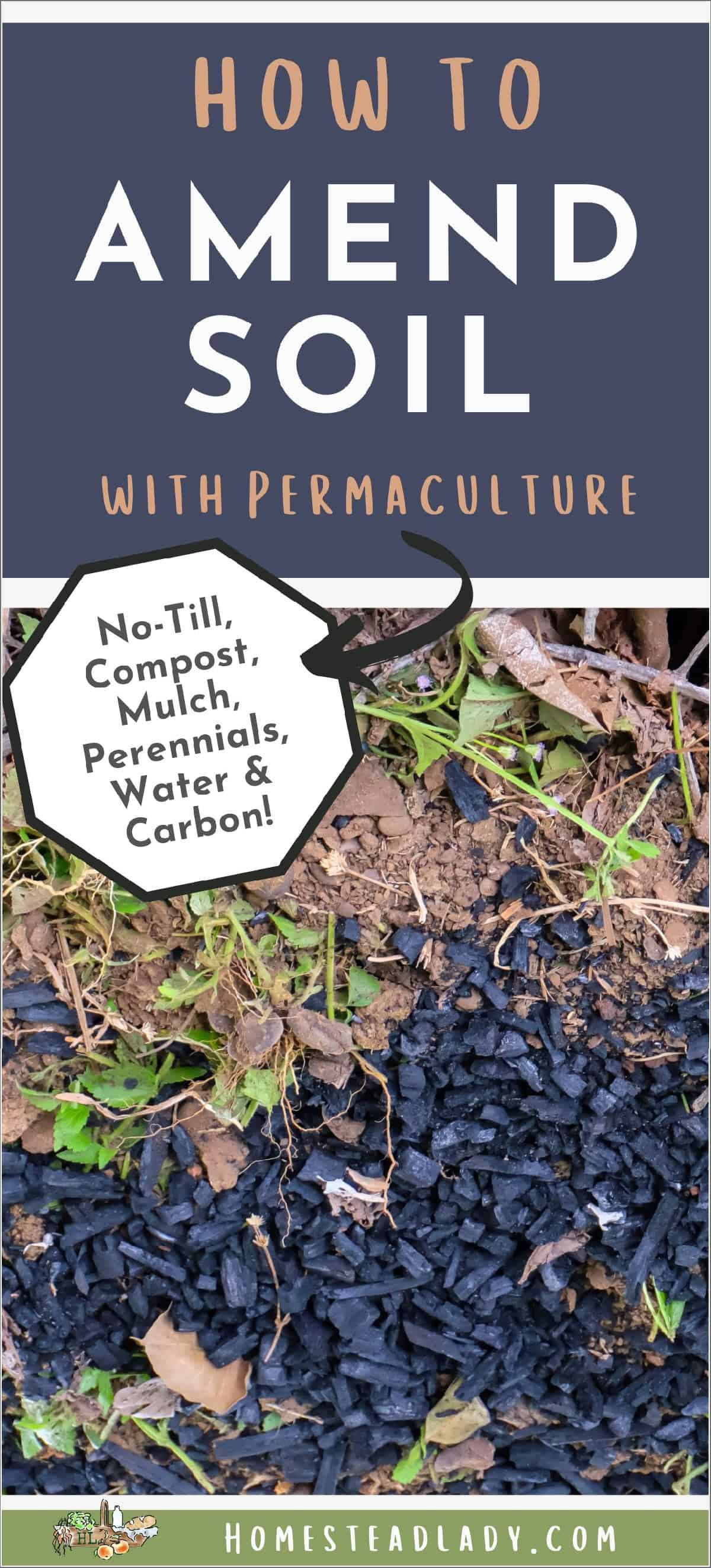 biochar on top of garden dirt