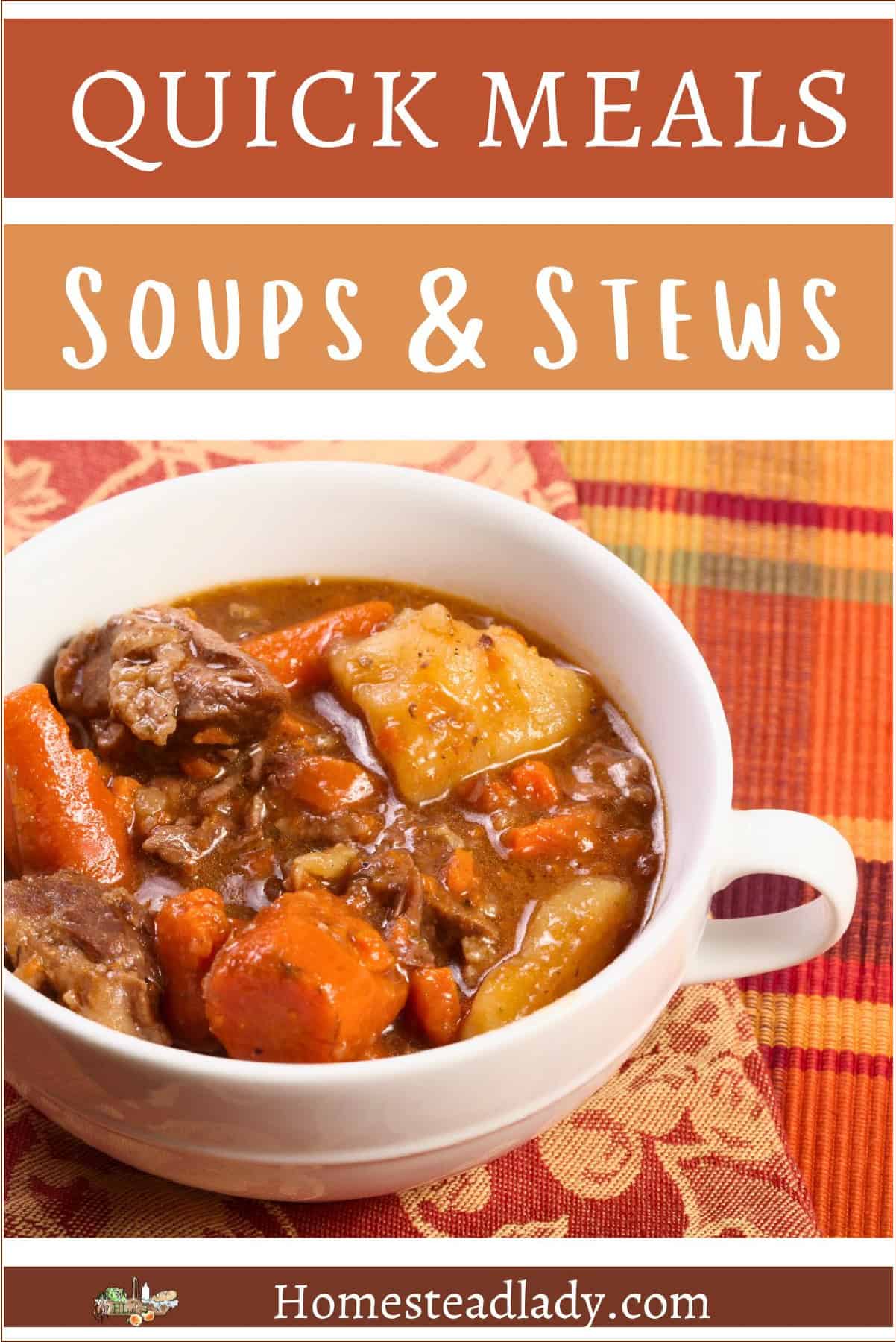 beef stew made from home canned foods in a while bowl