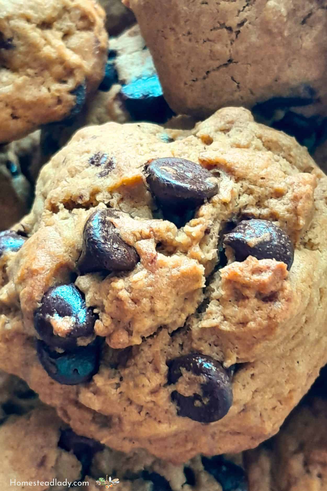 sourdough chocolate chip discard cookie up close