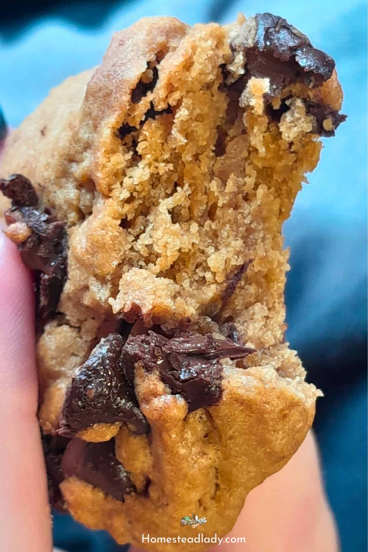 sourdough chocolate chip discard cookie with a bite taken out