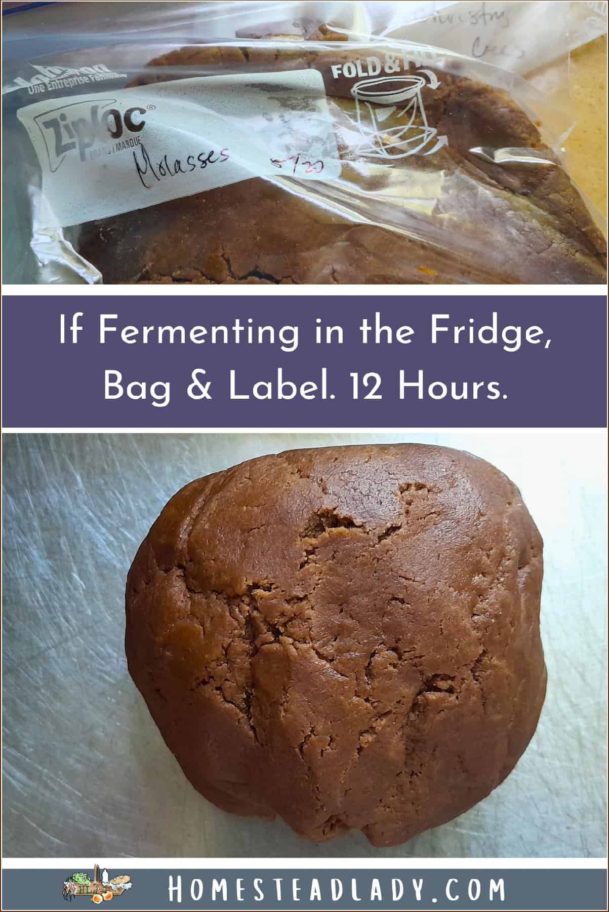 sourdough discard molasses cookie dough in plastic bag for fermenting