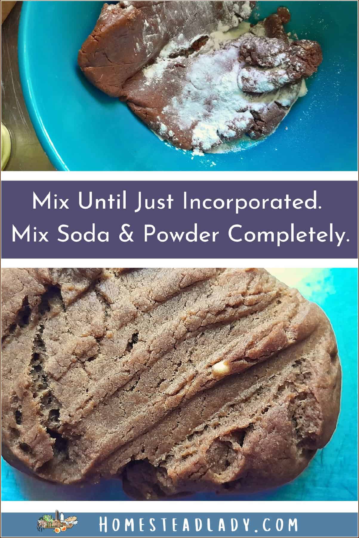 sourdough discard molasses cookie with baking soda mixed in