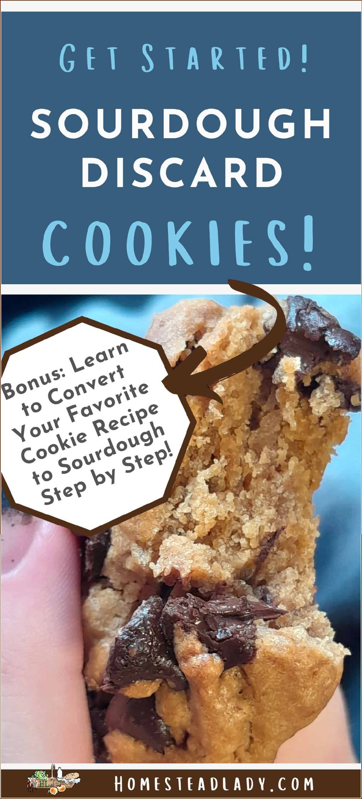 sourdough discard cookie with chocolate chips with a bite taken out