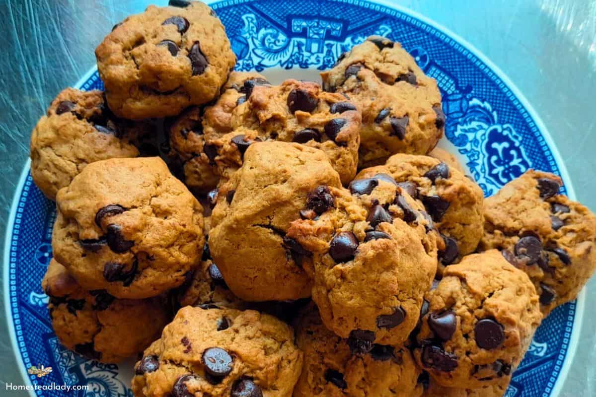 place sourdough discard chocolate chips cookies on a blue plate