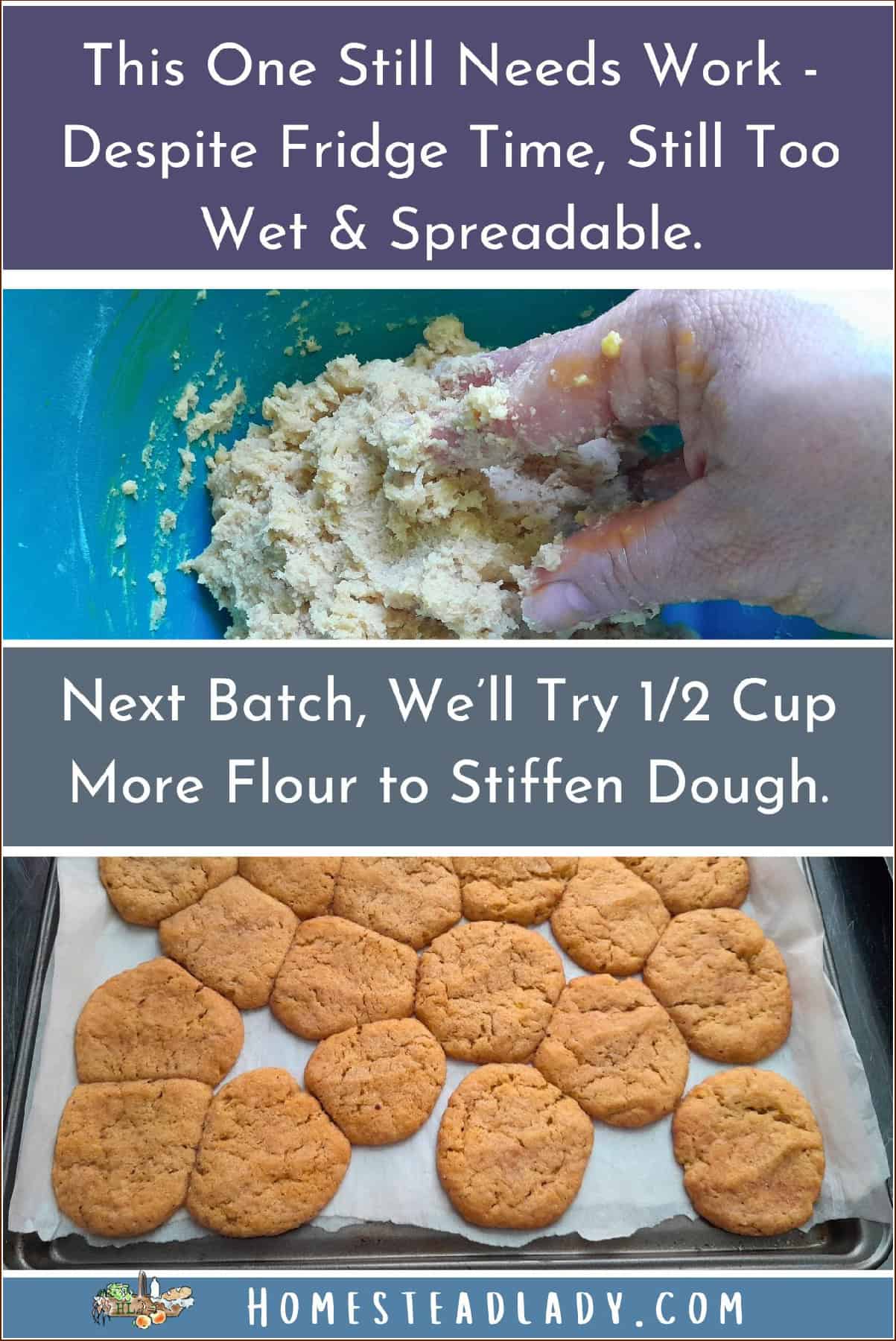 sourdough discard cookie dough in a bowl; finished cookies a little flat on a baking sheet