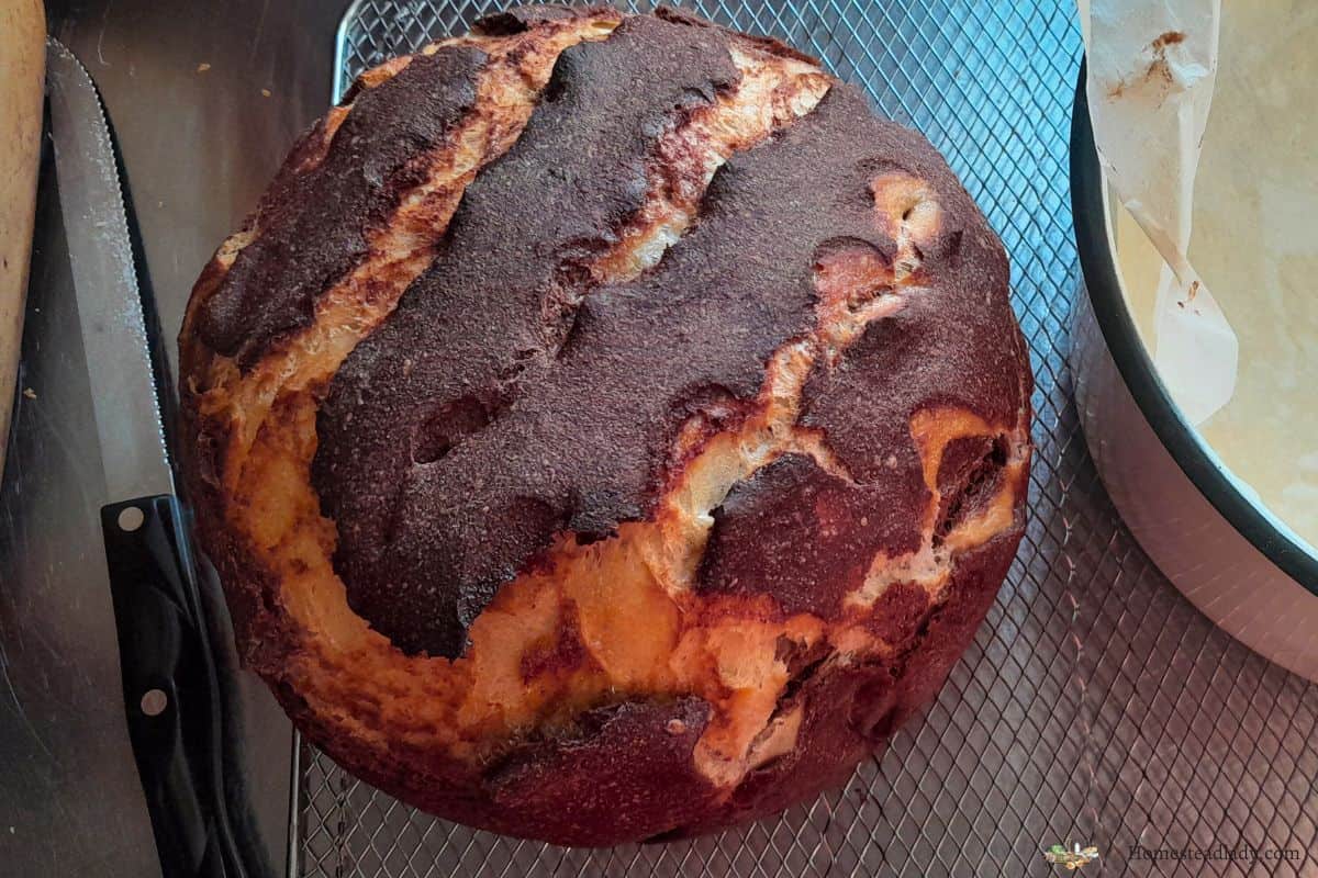 sourdough marble rye bread round loaf on a metal table