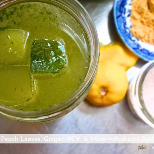 peach leaf switchel in a tall glass with lemons on a table