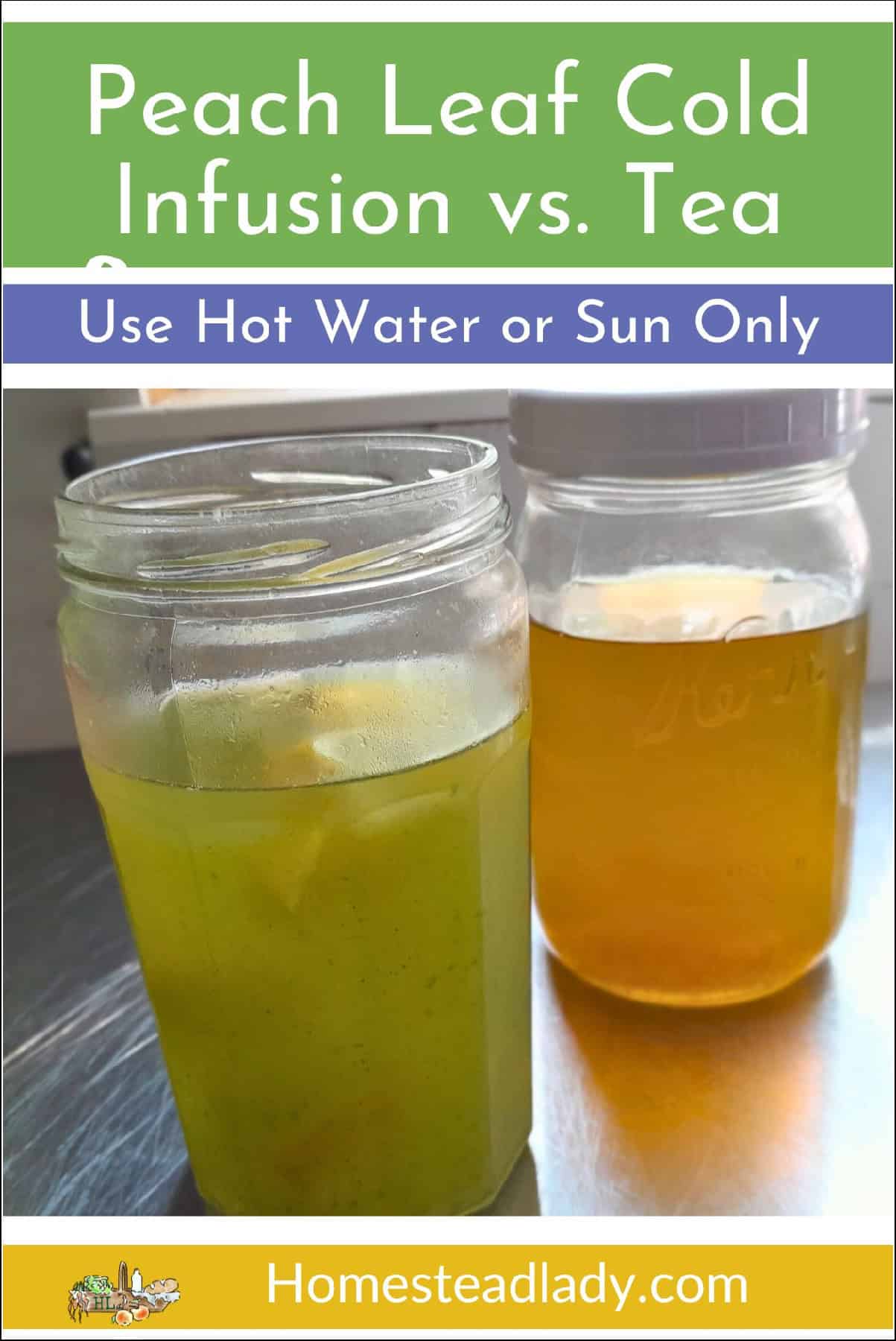 peach leaf switchel in a jar next to peach leaf tea in a jar