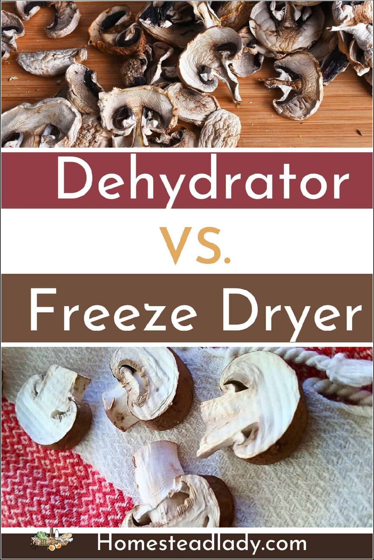 dehydrated mushrooms and freeze dried mushrooms on a table