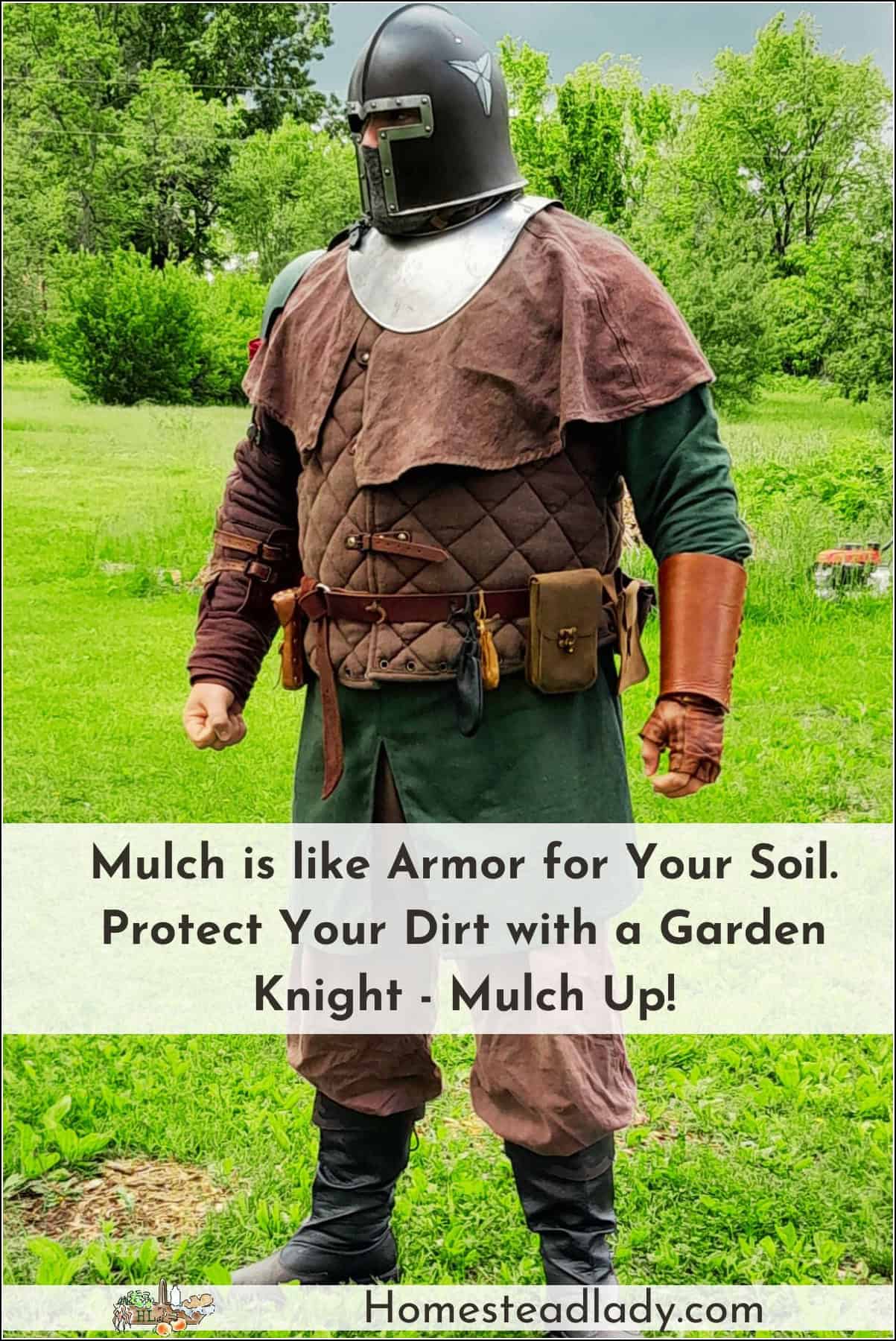 knight in armor in a garden