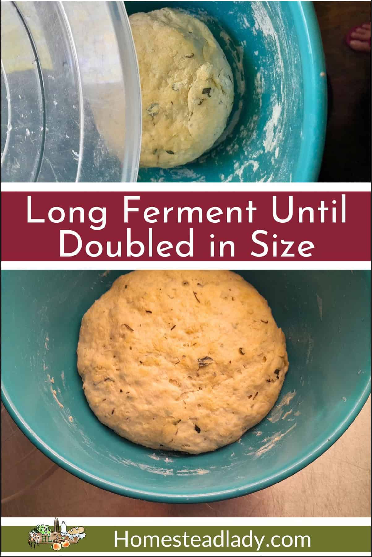 sourdough pizza dough fermenting in a bowl
