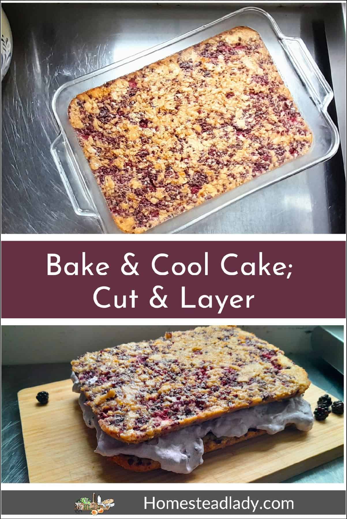 sourdough blackberry cake on a table and cut in half