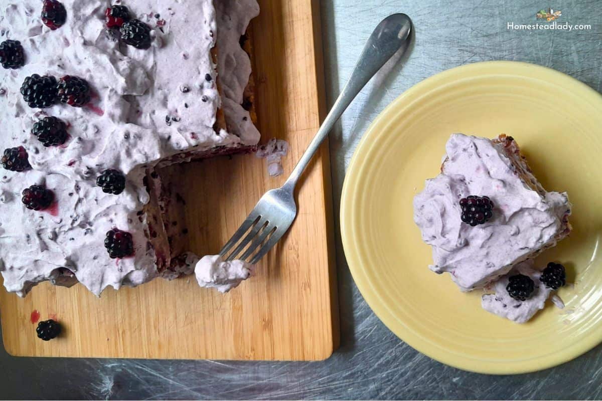 sourdough blackberry cake on a board and a yellow plate