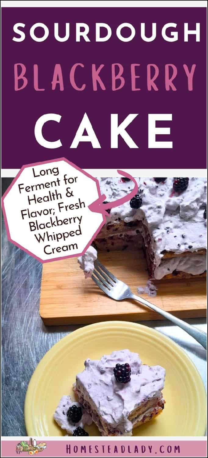 sourdough blackberry cake on a board with a fork