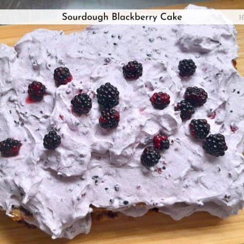 sourdough blackberry cake with blackberries on top on a board