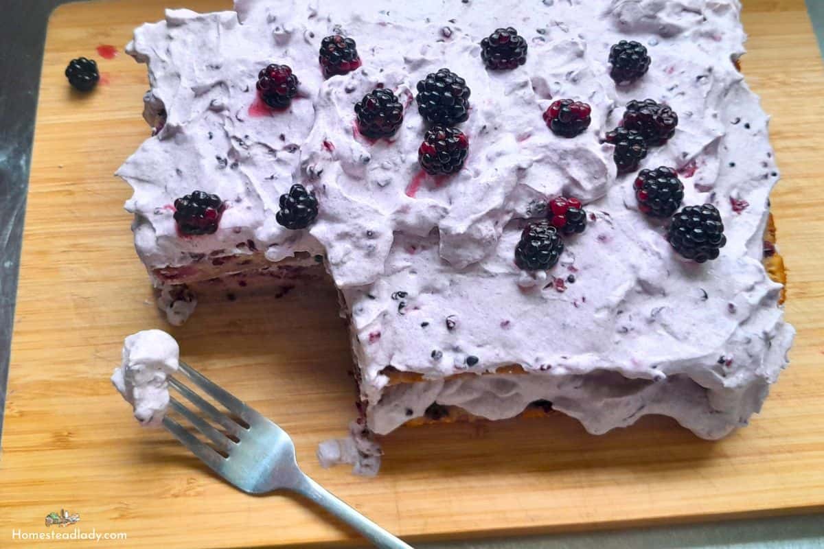 sourdough blackberry cake on a board with blackberry whipped cream and blackberries on top