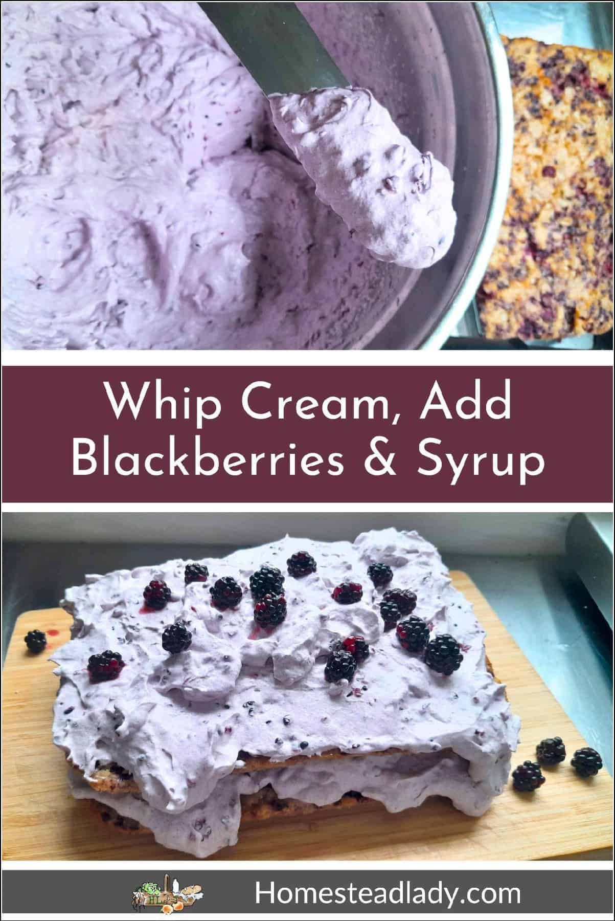 sourdough blackberry cake and blackberry whipped cream