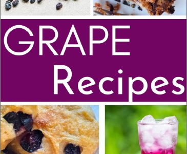 grape recipe photos: sourdough grape scones, grape juice, grape jelly, raisins