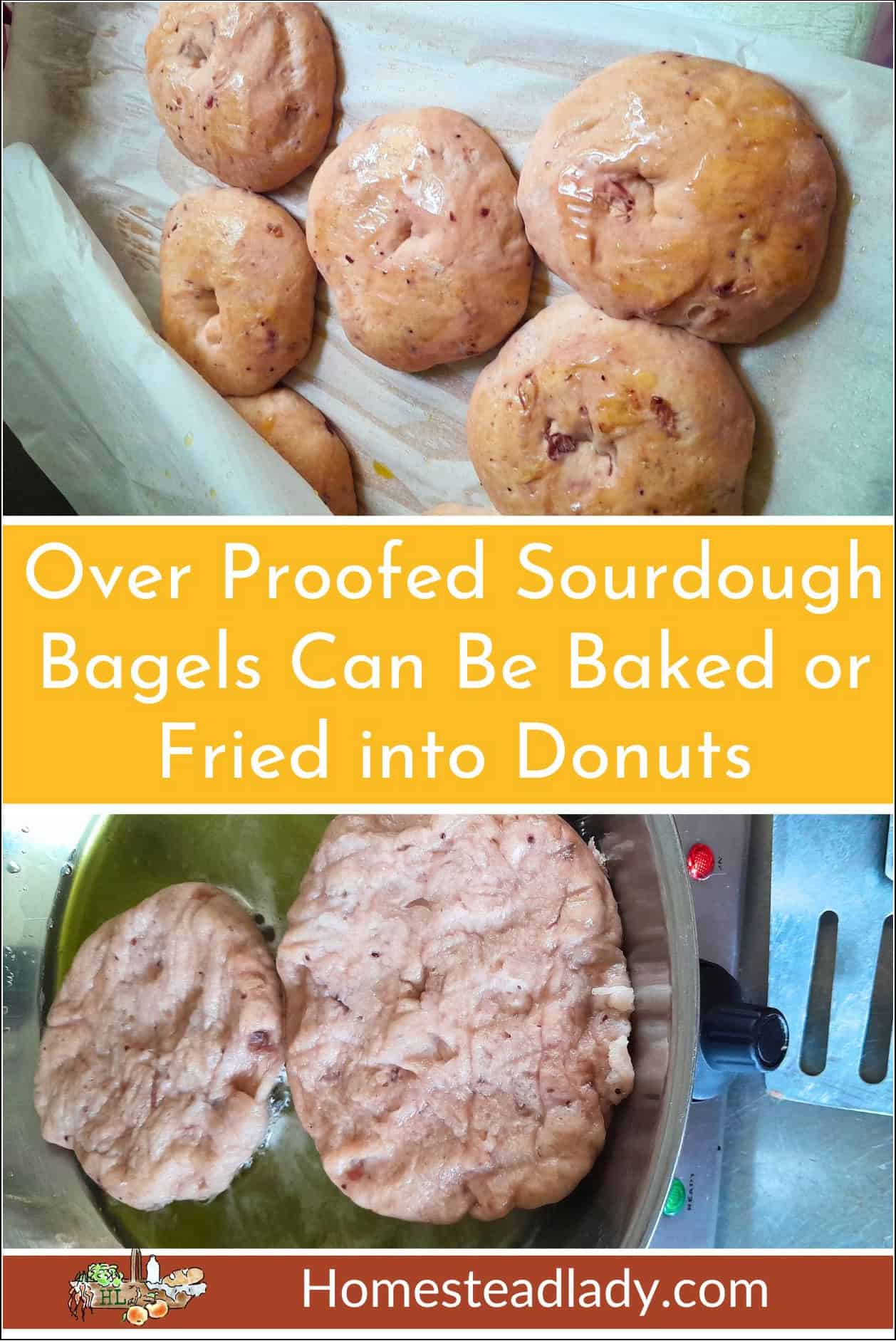 over proofed sourdough donuts being fried