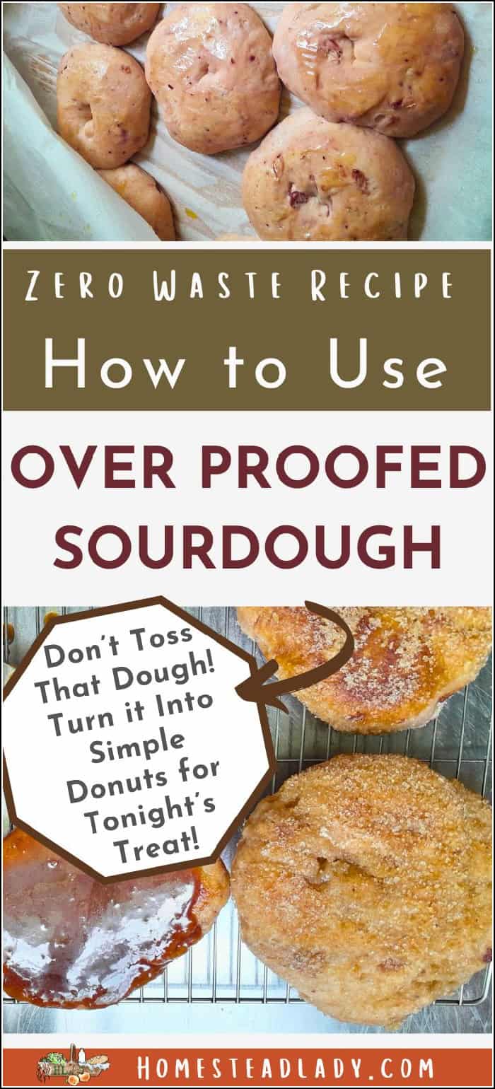 over proofed sourdough donuts with cinnamon sugar and glaze
