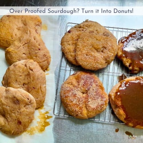 over proofed sourdough donuts on a counter