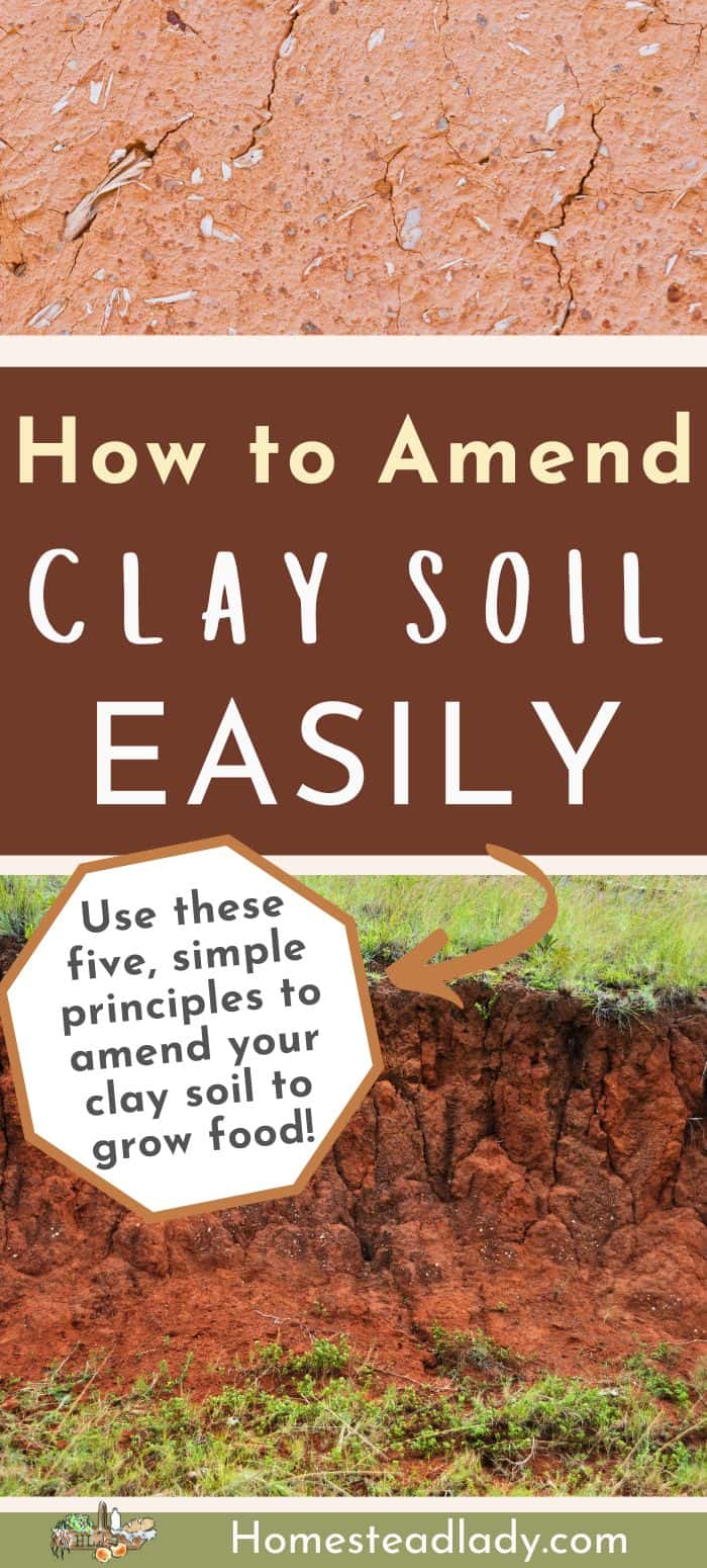 clay soil