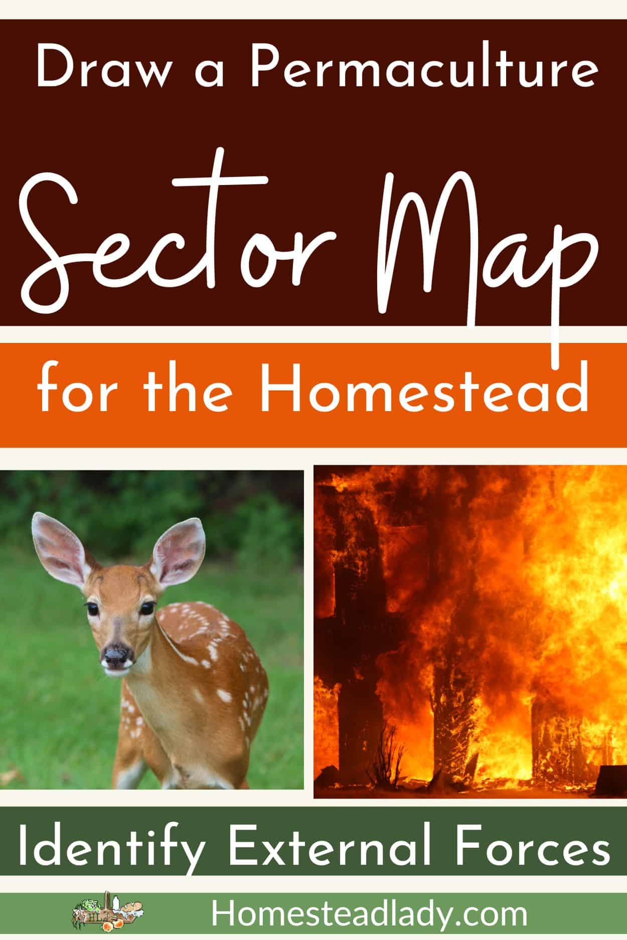 images of what goes on a permaculture sector map, deer and fire