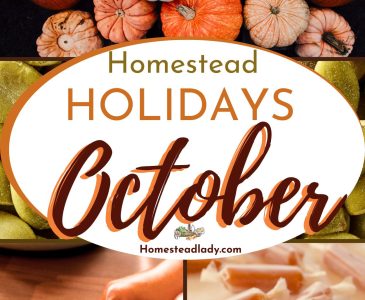 collage of October images - pumpkin seeds, colored pumpkins, challah being made, homemade caramels.