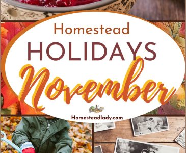 decorative collage of fall images